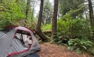 TheFoxphire F.'s photo at Mora Campground — Olympic National Park near La Push, WA