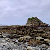 Review photo of Mora Campground — Olympic National Park by Maura R., June 24, 2026