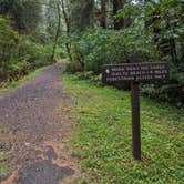 Review photo of Mora Campground — Olympic National Park by Kristi D., September 27, 2023