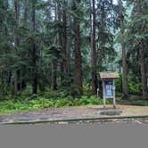 Review photo of Mora Campground — Olympic National Park by Kristi D., September 27, 2023