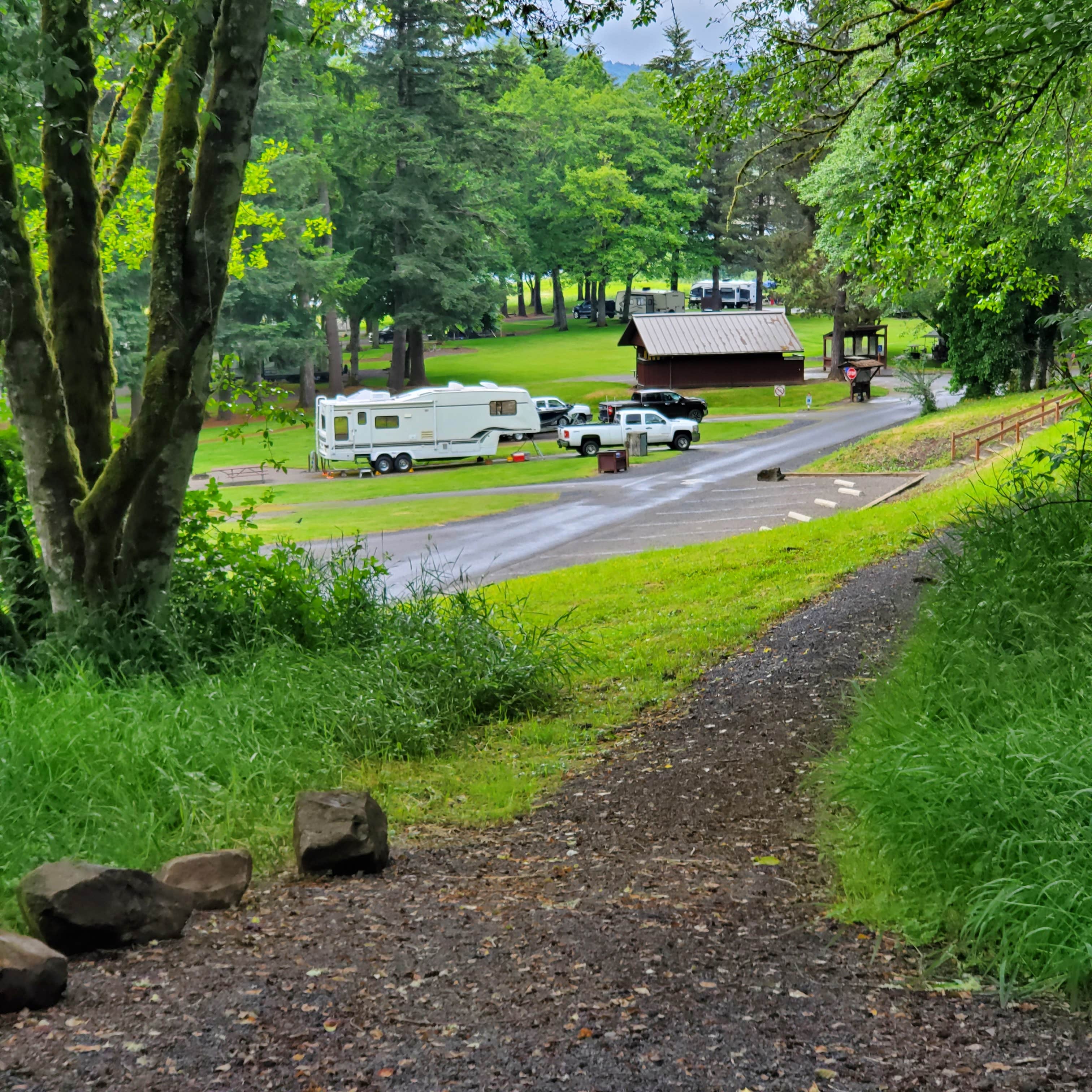 Mossyrock Park Camping Mossyrock, WA