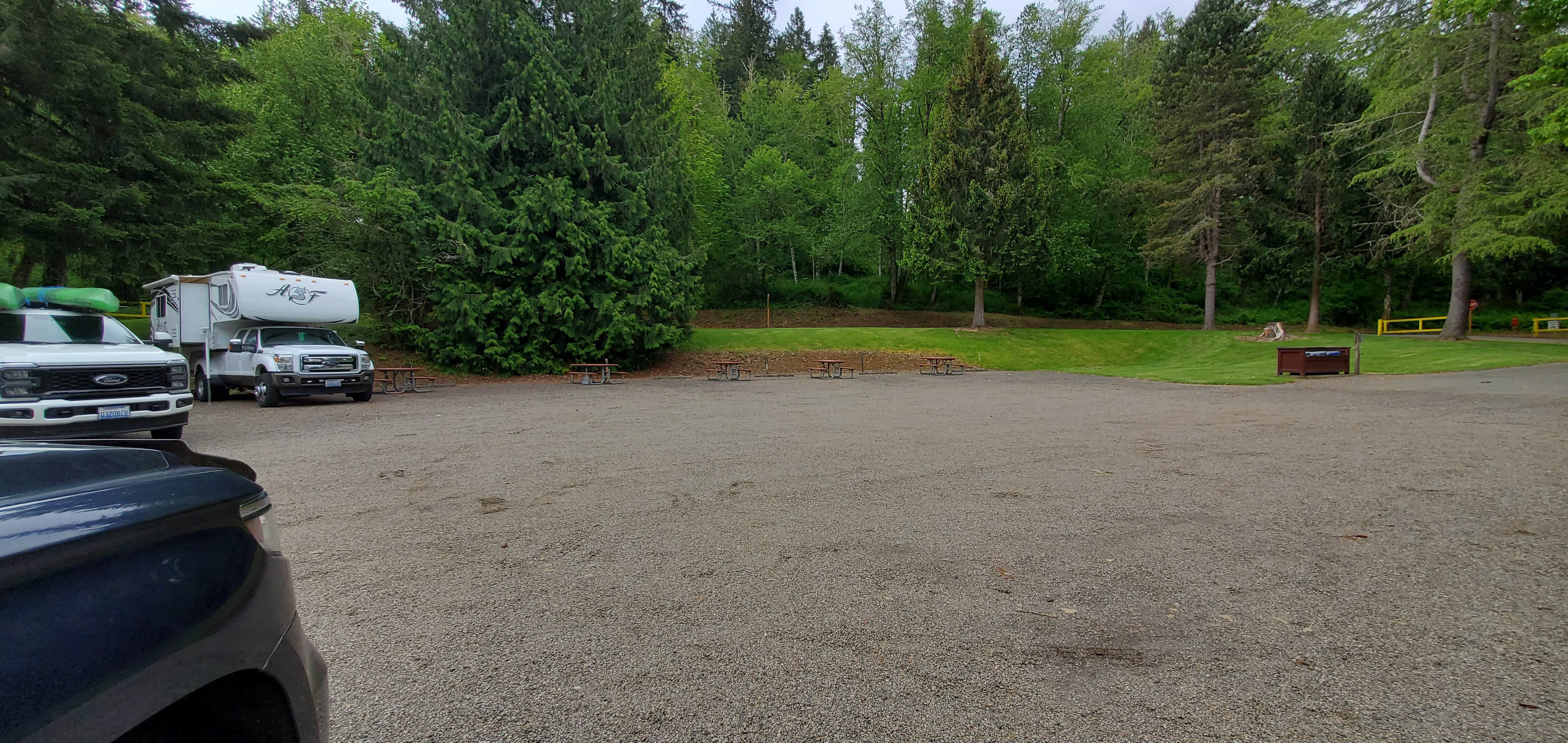 Christina F.'s photo of camping with pets at Mossyrock Park near Randle, WA
