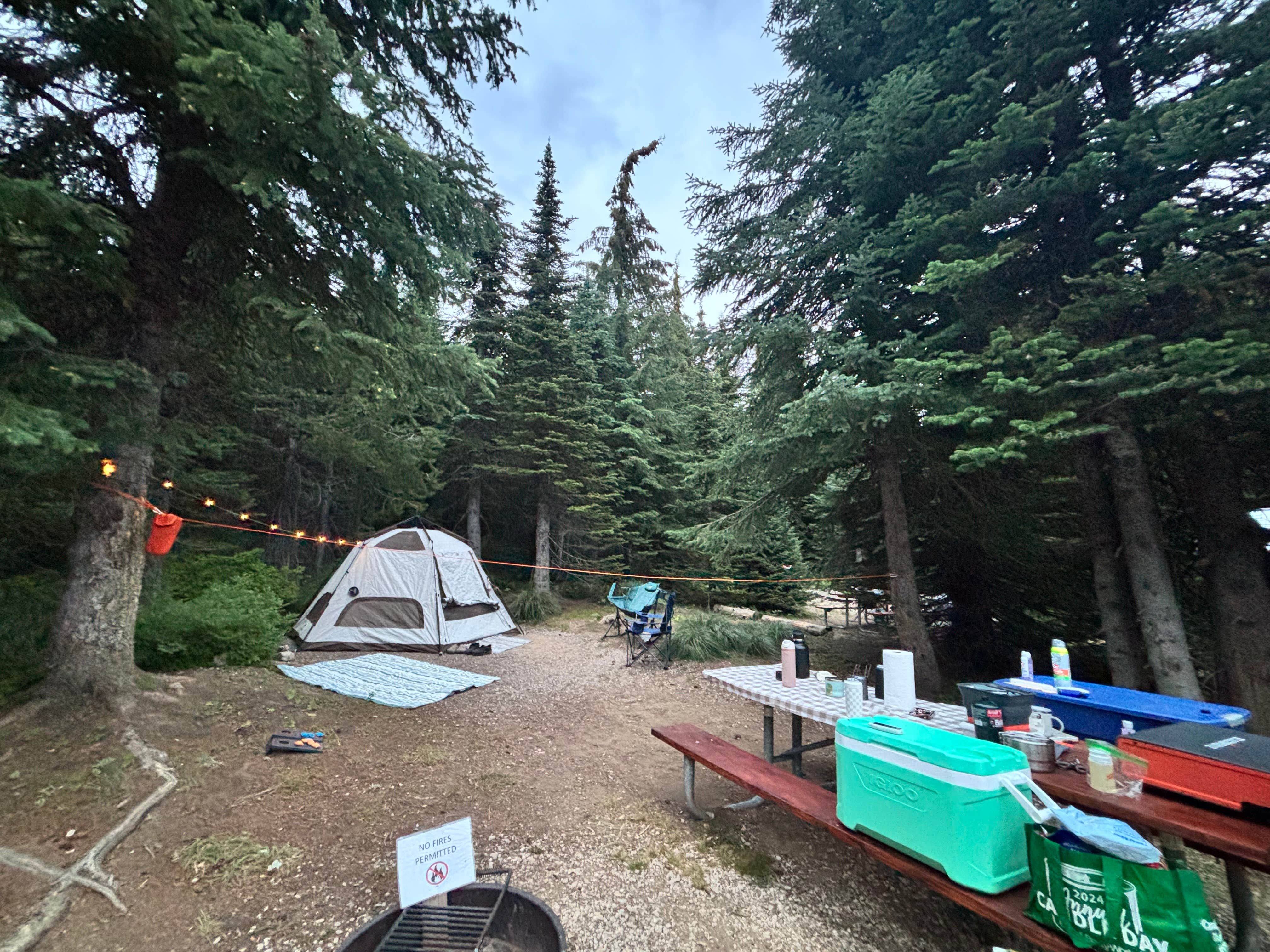 Paige B.'s photo at Bald Knob Campground — Mount Spokane State Park near Mead, WA