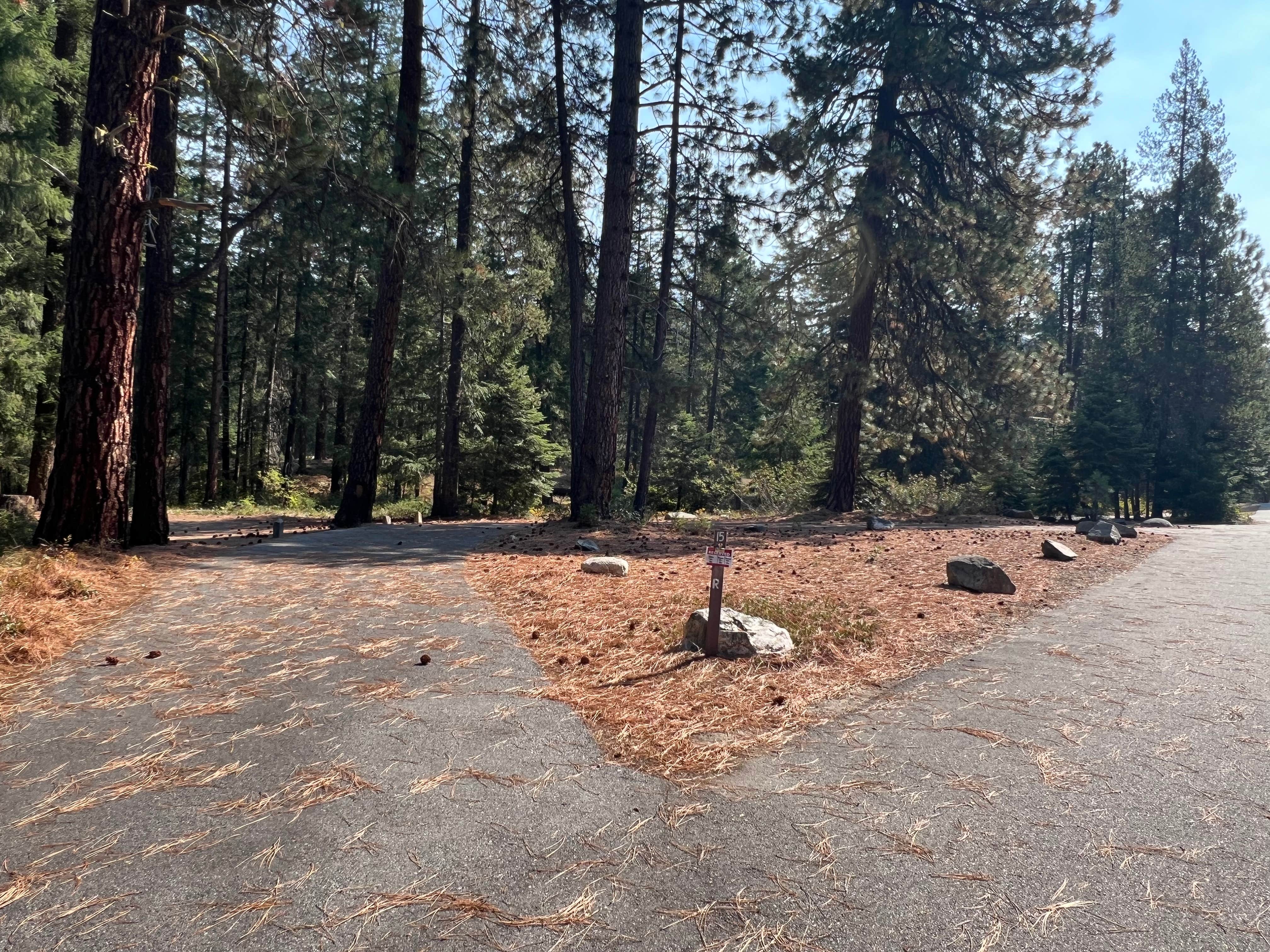 Meghan B.'s photo of camping with pets at Nason Creek Campground near Peshastin, WA