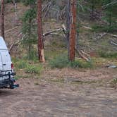 Review photo of Nason Creek Campground by Connie W., September 8, 2026