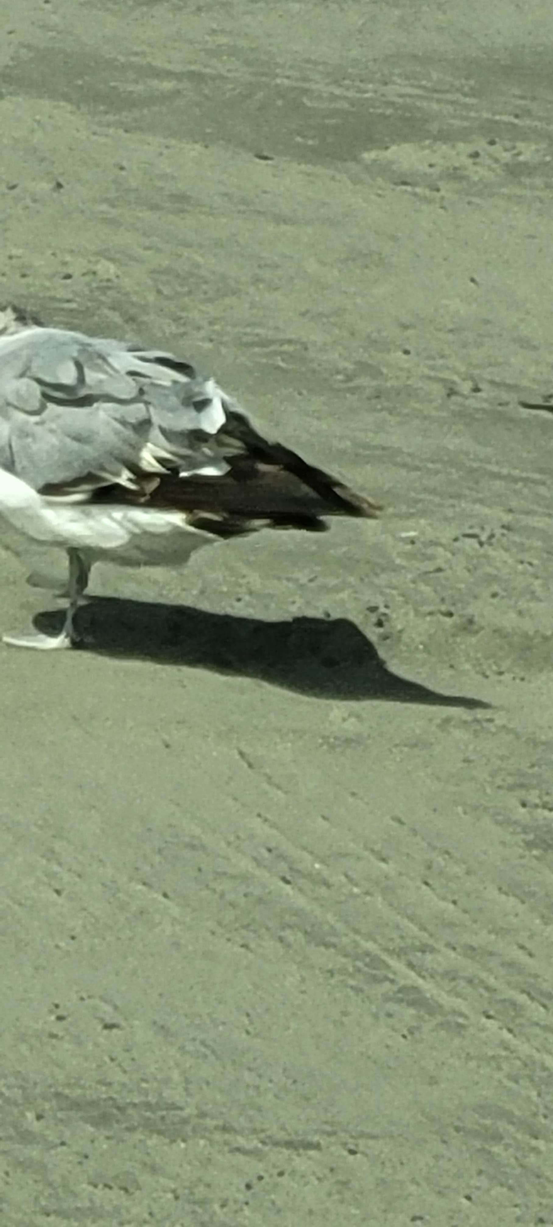 Camper-submitted photo at Pacific Beach Resort and Conference Center (Military Camping Only) near Taholah, WA