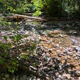 Review photo of Paradise Creek Campground by Lainey P., June 28, 2026
