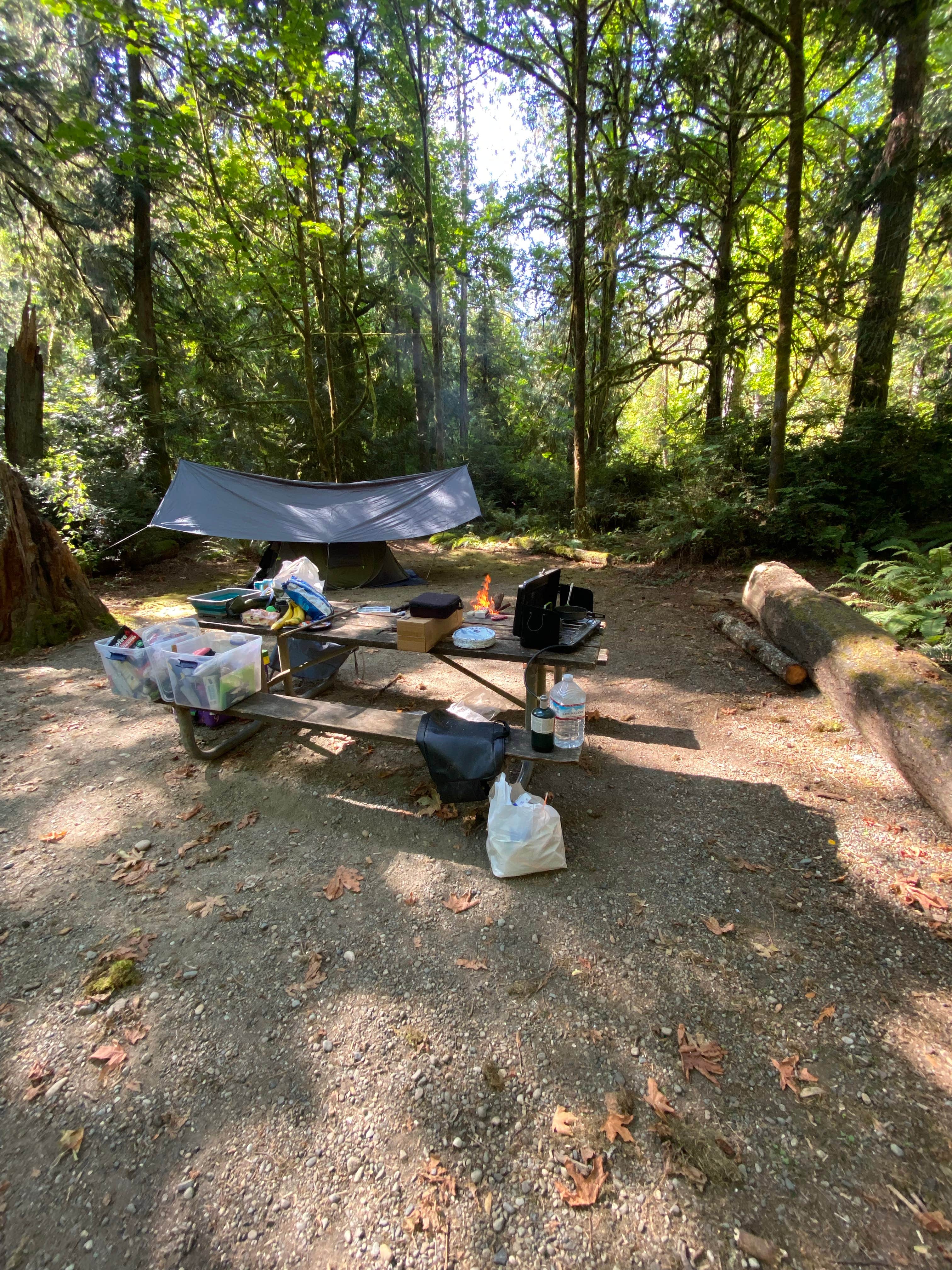 alexandrea L.'s photo at Penrose Point State Park Campground near Spanaway, WA