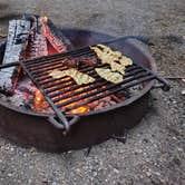 Review photo of Penrose Point State Park Campground by Peter D., May 6, 2026