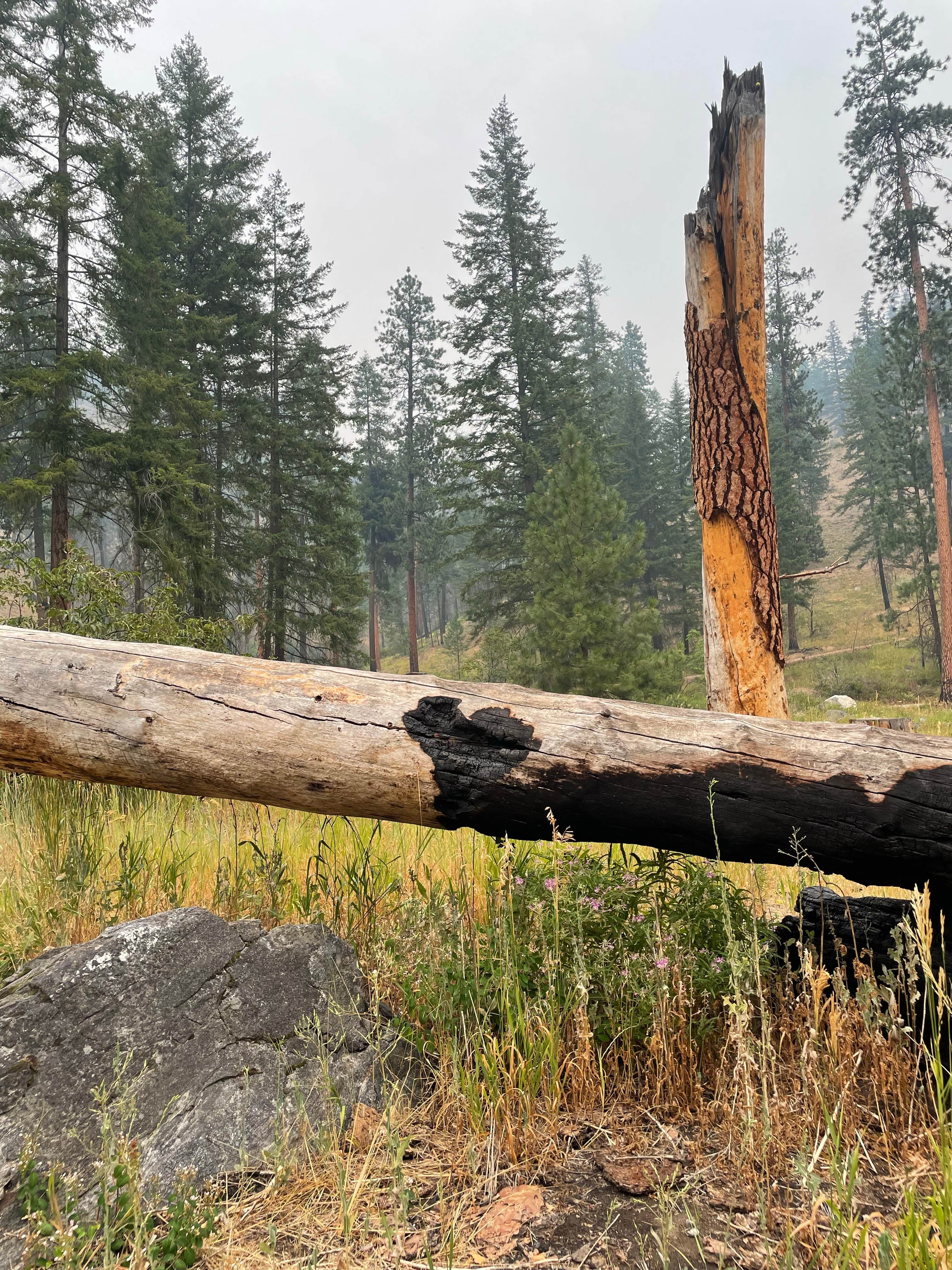 Camper-submitted photo at Pine Flats Group Campground near Entiat, WA