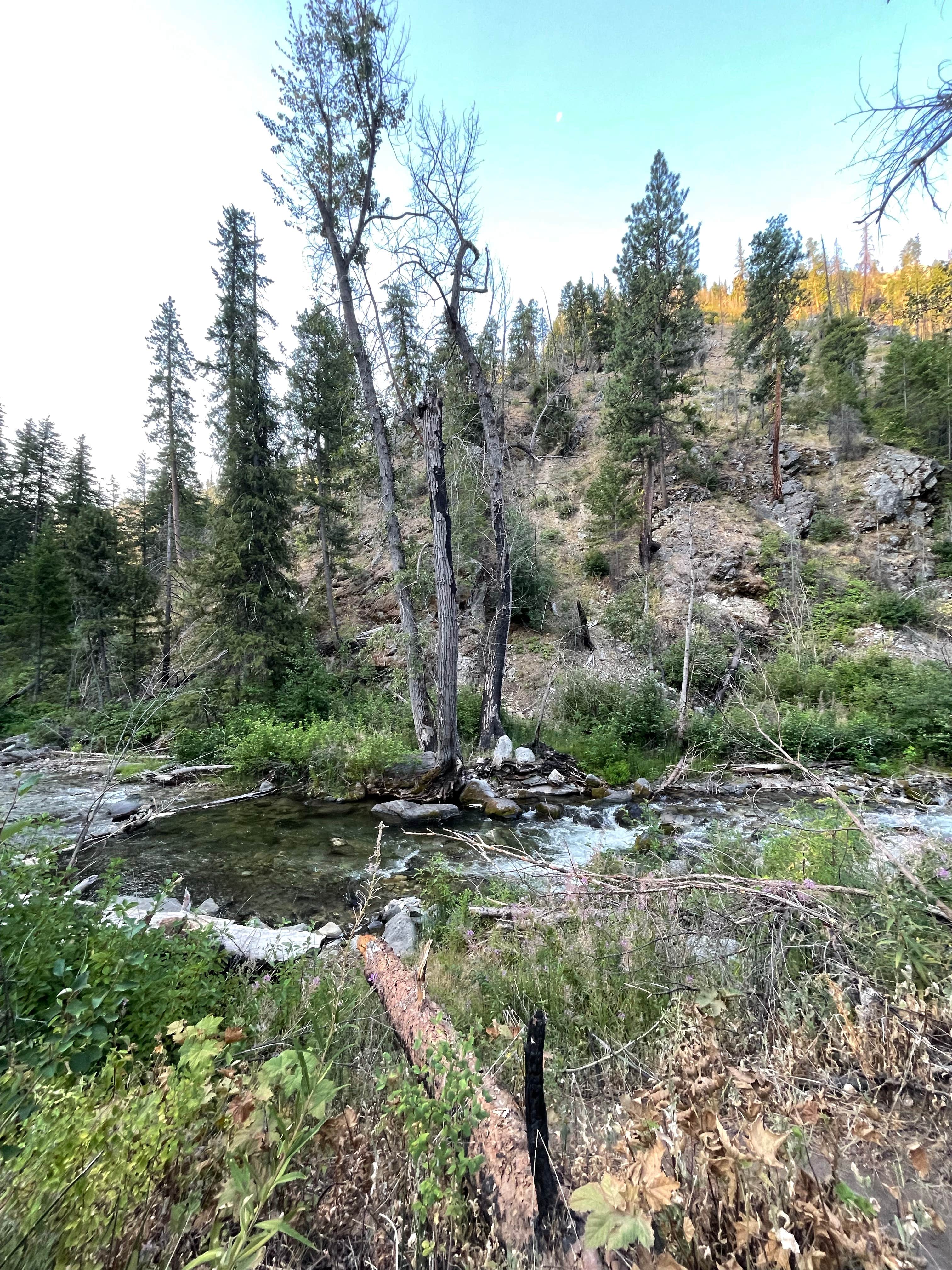 Camper-submitted photo at Pine Flats Group Campground near Entiat, WA