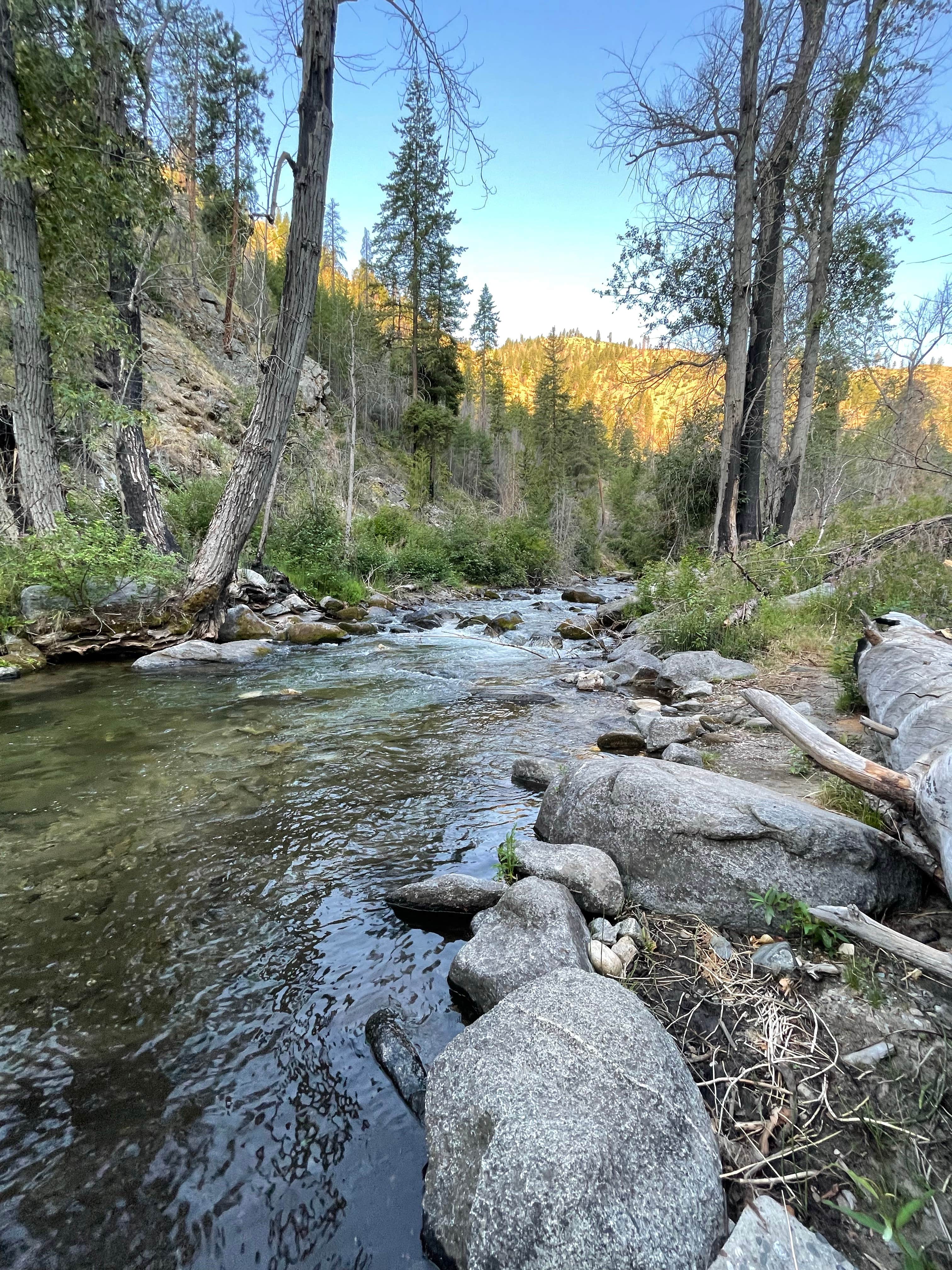 Camper-submitted photo at Pine Flats Group Campground near Entiat, WA