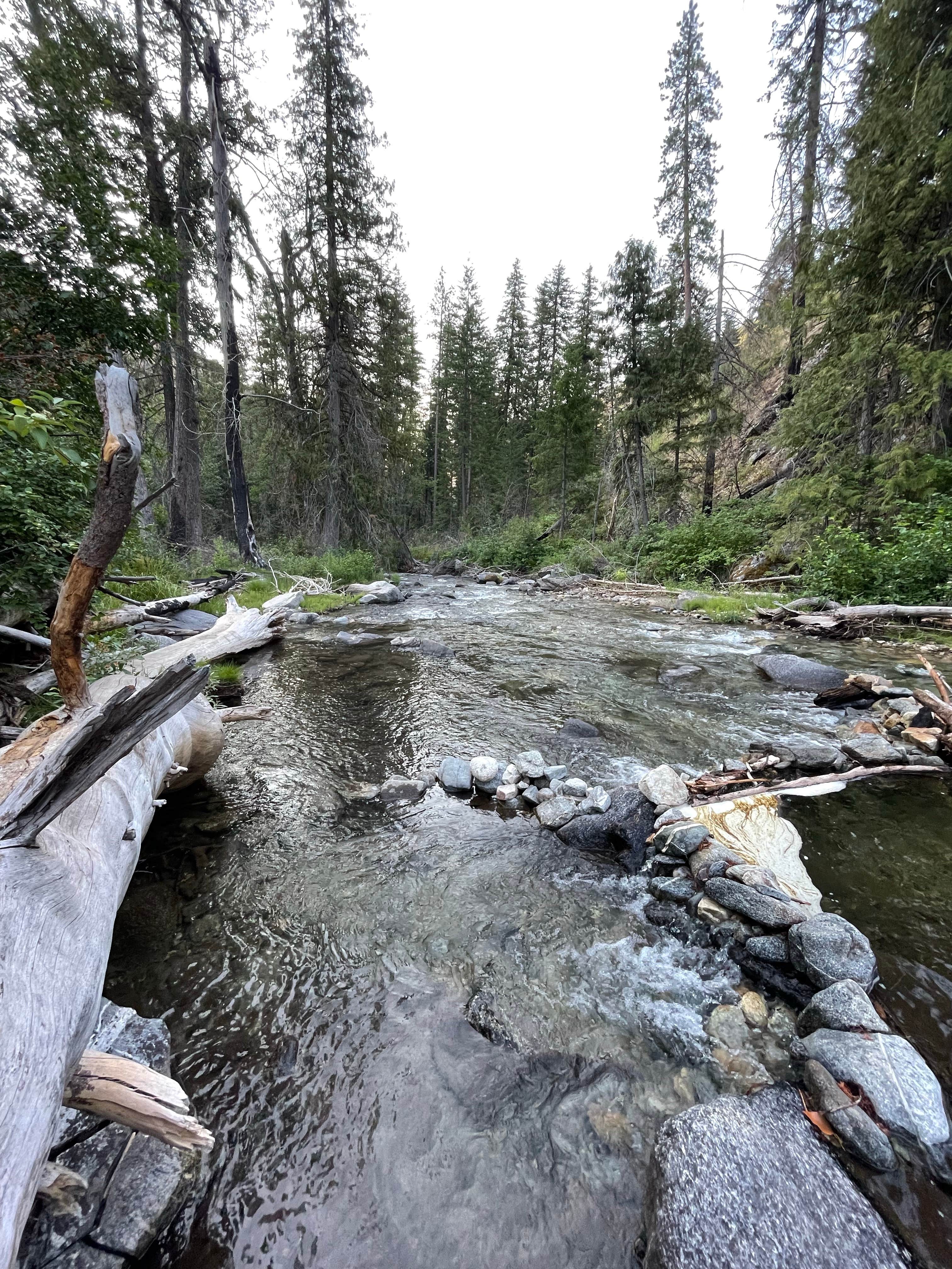 Camper submitted image from Pine Flats Group Campground - 3