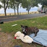Review photo of Plymouth Park Campground by Sarah S., June 26, 2026