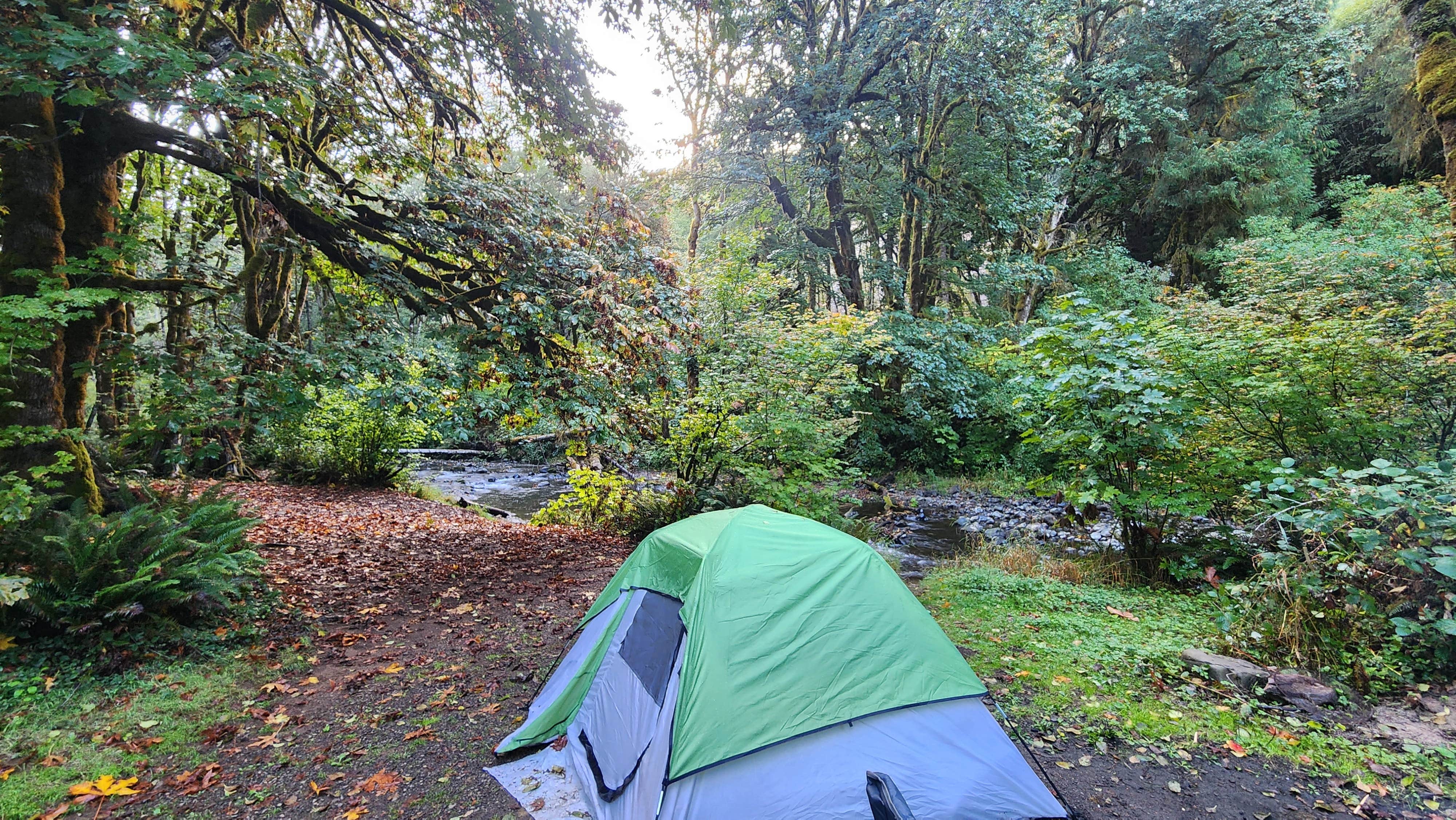 Camper-submitted photo at Porter Creek near Rochester, WA