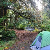 Review photo of Porter Creek by J M., September 29, 2026