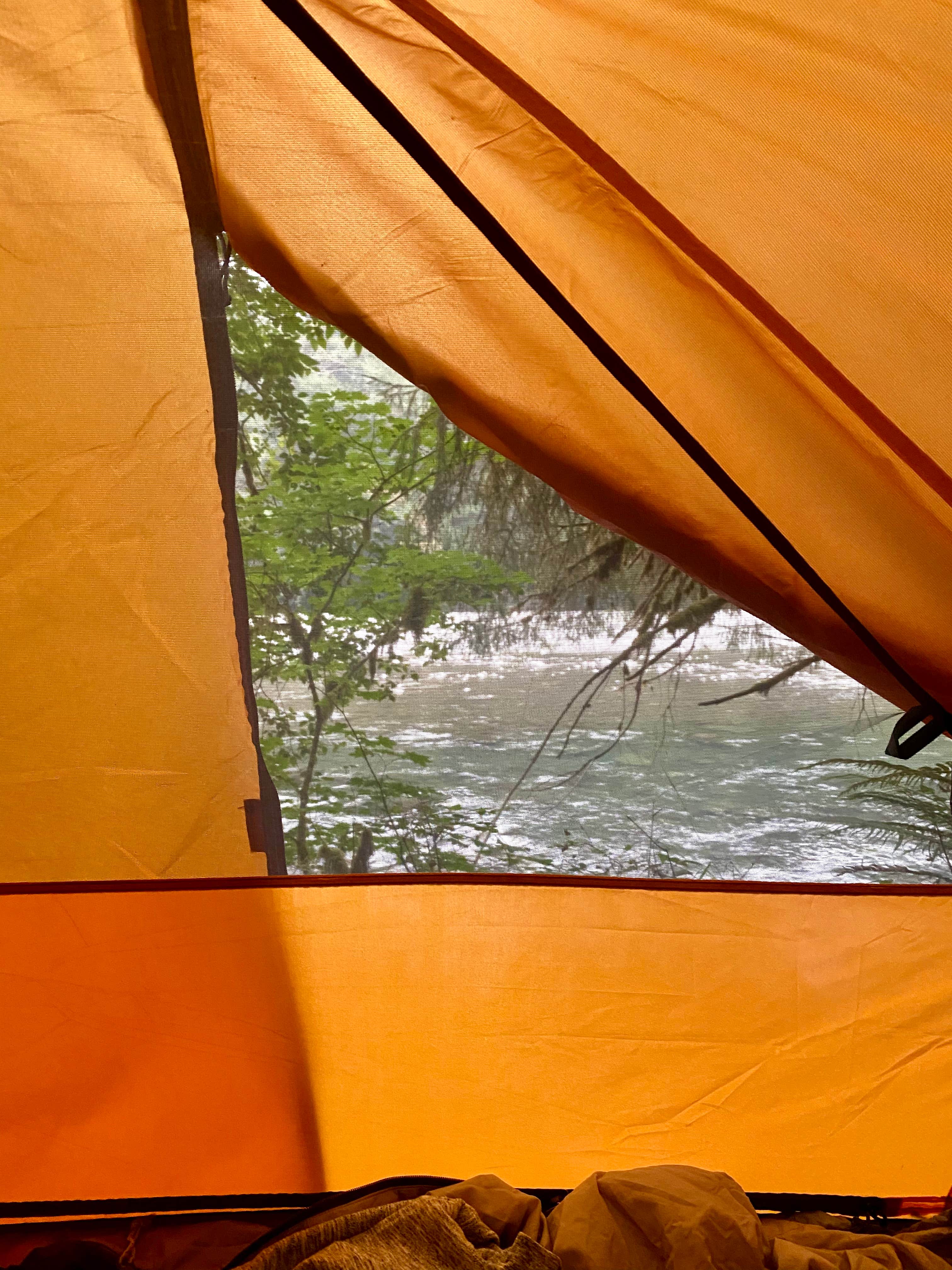 Zarek A.'s photo at Queets Campground — Olympic National Park near Olympic National Forest