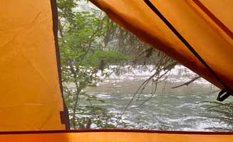 Zarek A.'s photo at Queets Campground — Olympic National Park near Olympic National Forest