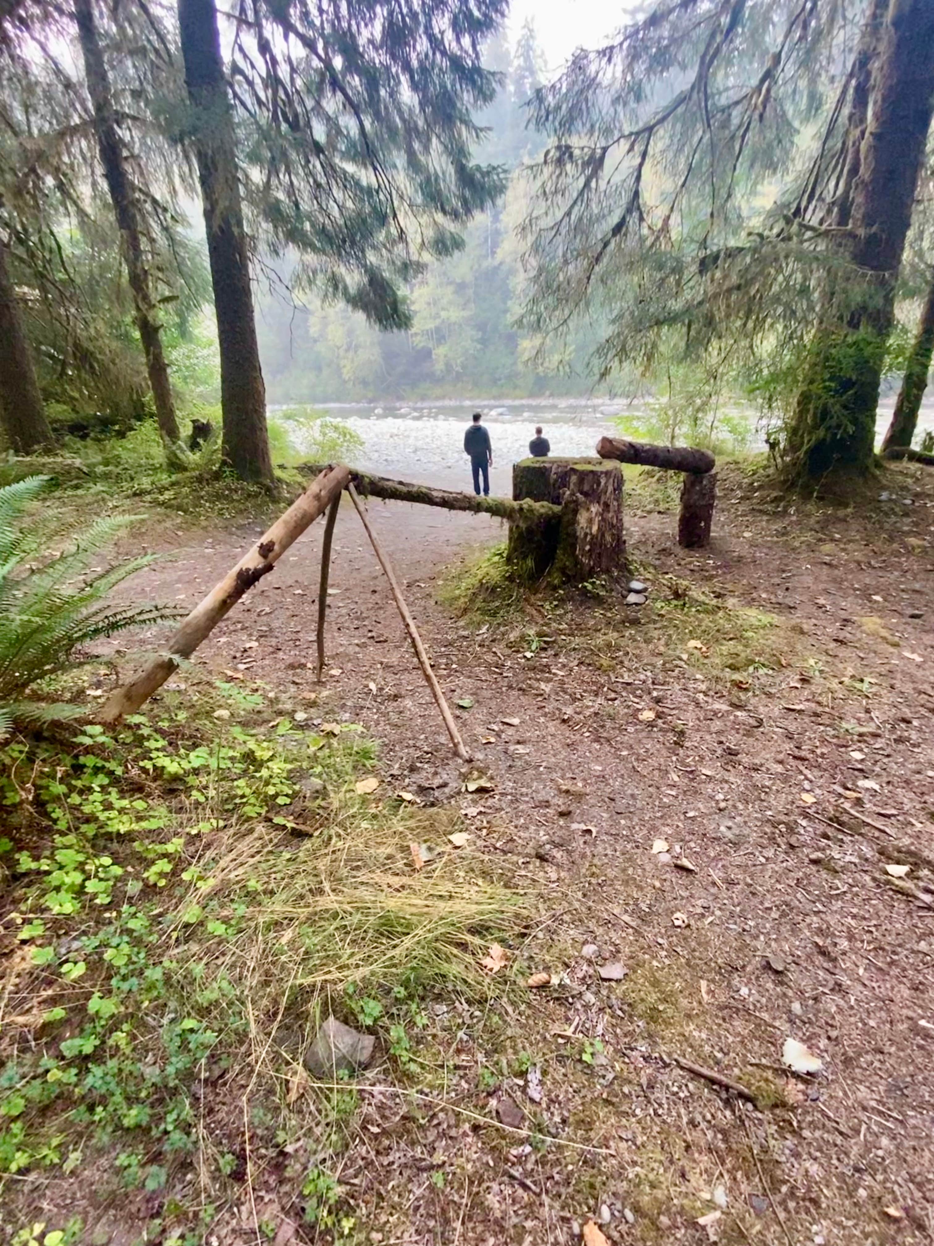 Camper submitted image from Queets Campground — Olympic National Park - 3