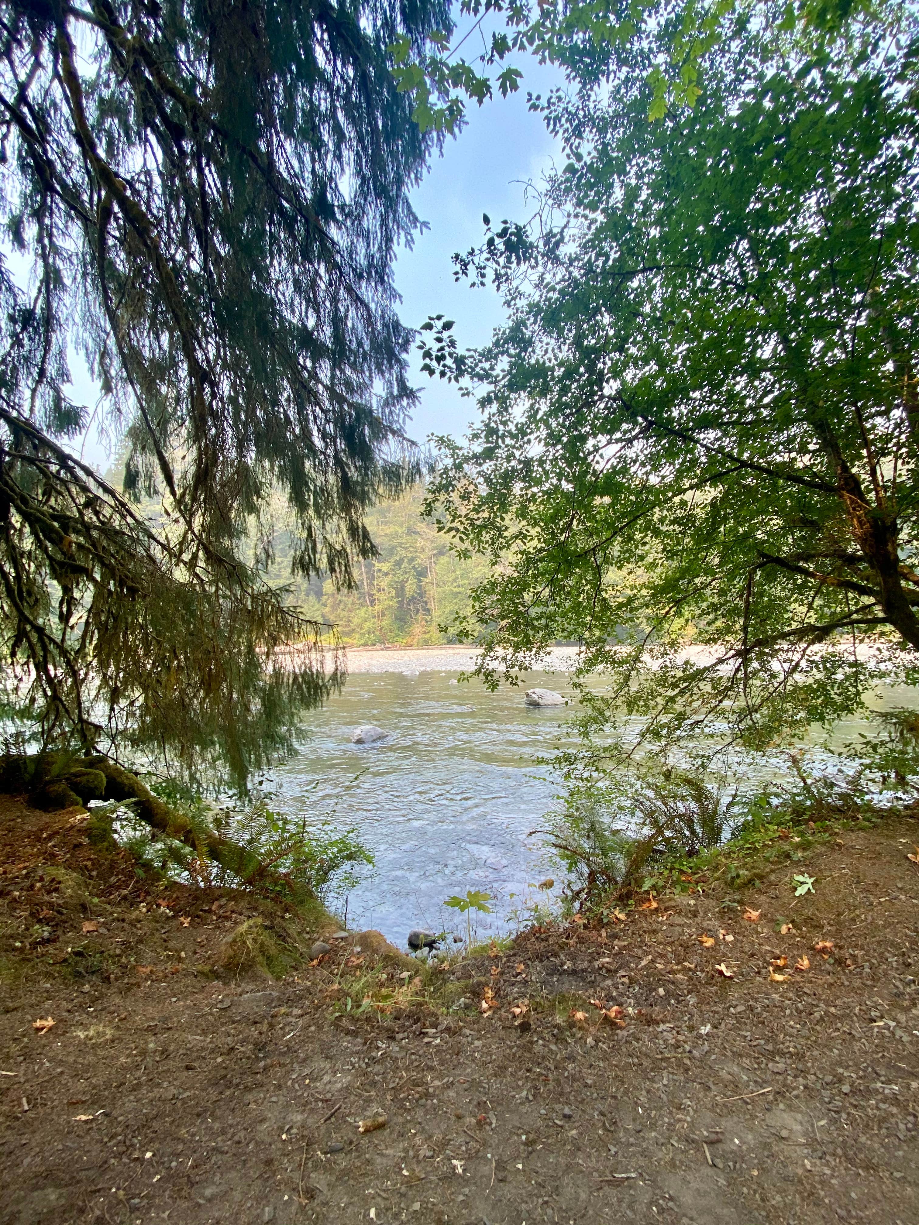 Camper-submitted photo at Queets Campground — Olympic National Park near Quinault, WA