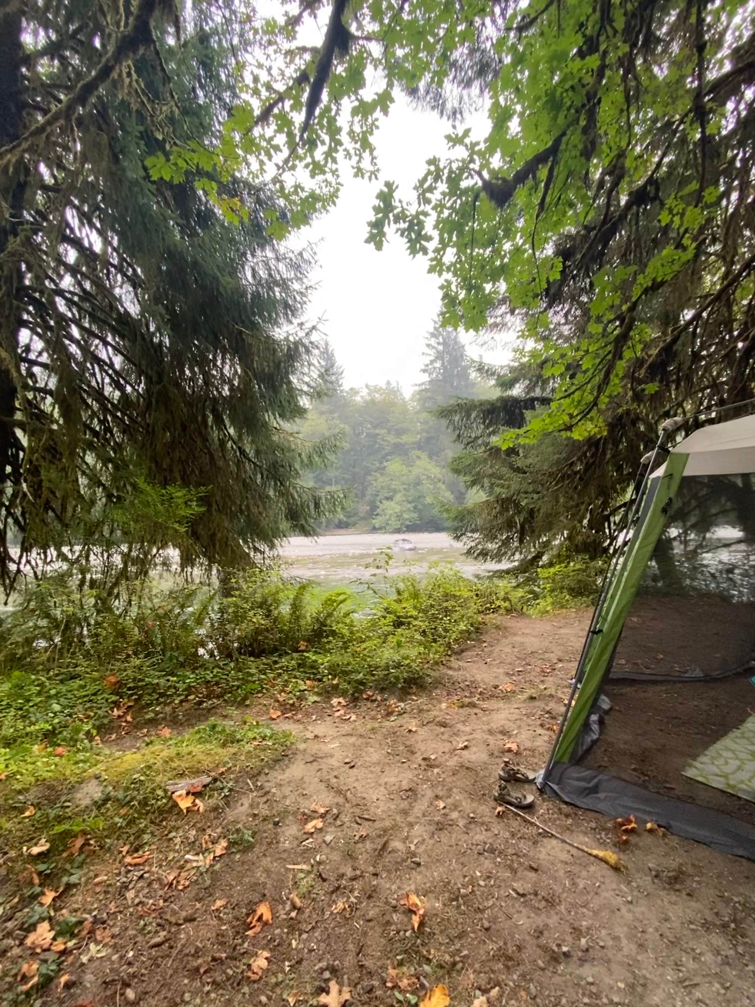 Camper-submitted photo at Queets Campground — Olympic National Park near Quinault, WA