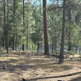 Review photo of Bowl and Pitcher Campground — Riverside State Park by Lisa A., May 27, 2025