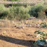 Review photo of Bowl and Pitcher Campground — Riverside State Park by Jen M., August 5, 2024