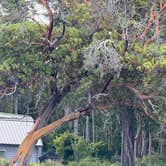 Review photo of San Juan County Park by Taylor C., July 1, 2025