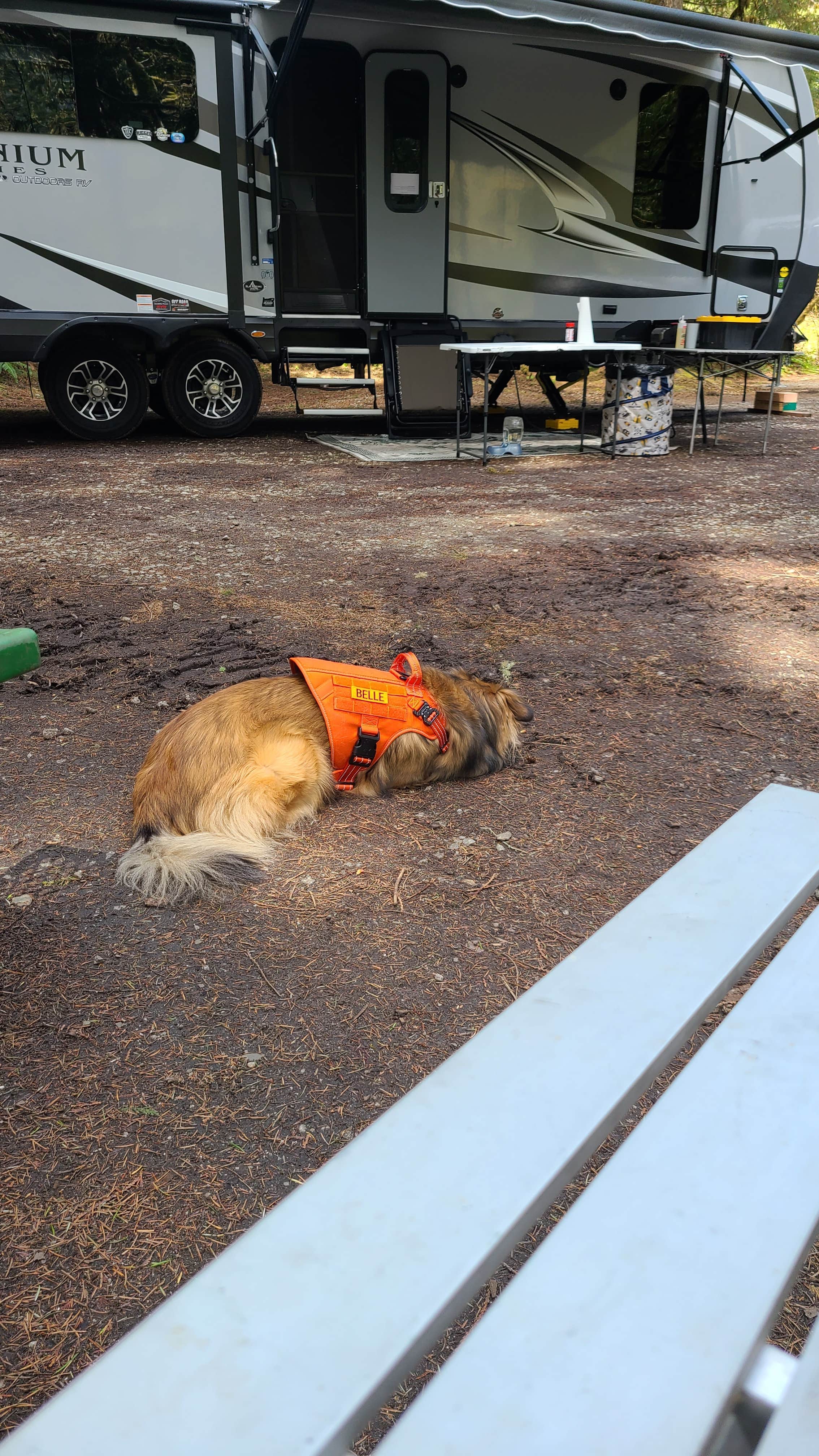 Camper submitted image from Sauk Park Campground - 2