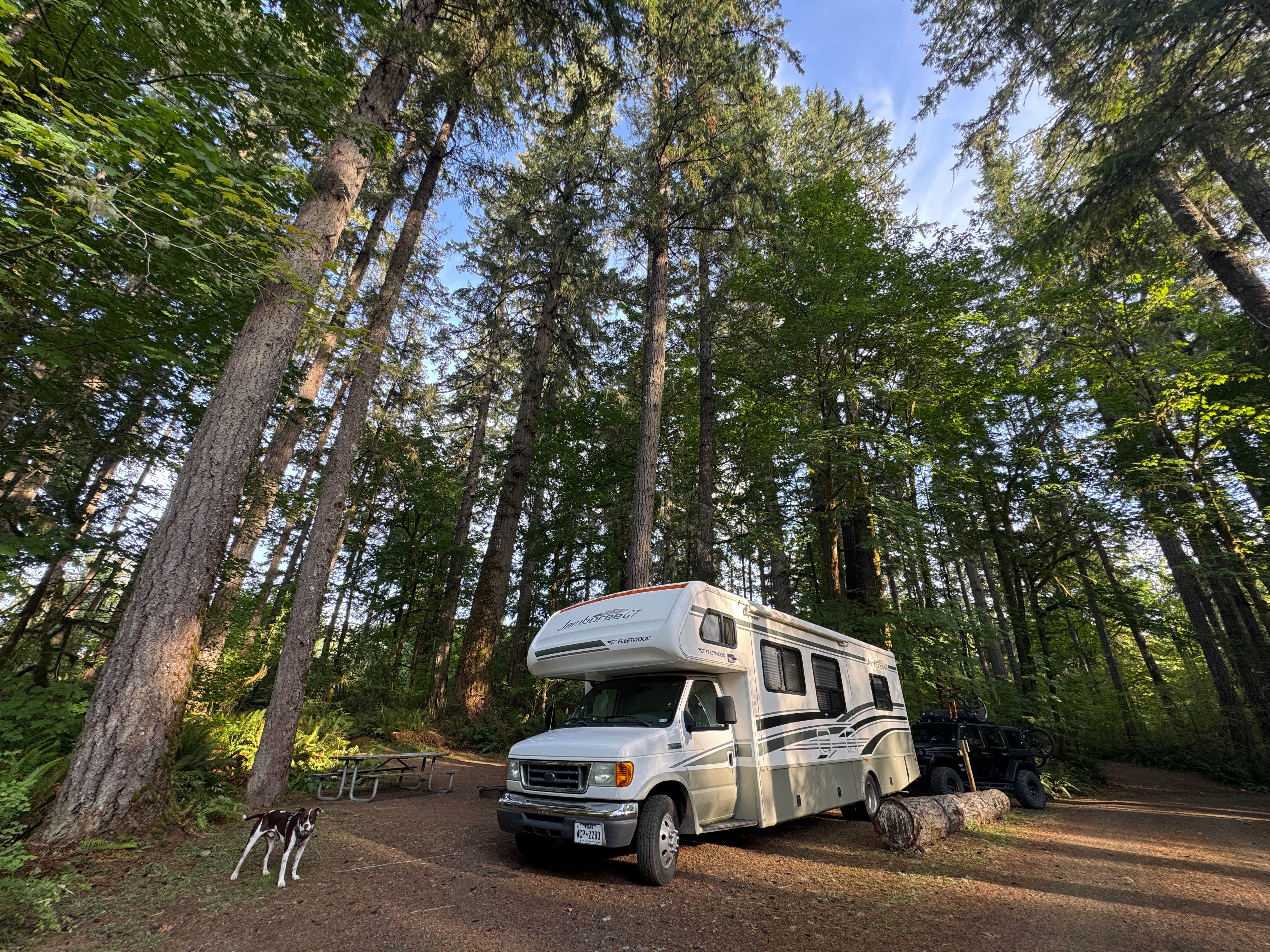 TheFoxphire F.'s photo of rv camping at Schafer State Park Campground near Matlock, WA