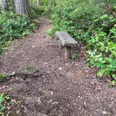 Review photo of Schafer State Park Campground by Lori R., September 8, 2026