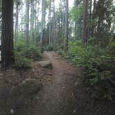Review photo of Seal Rock Campground by Jordan K., August 23, 2026