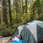 Review photo of Seal Rock Campground by Teri T., June 4, 2024