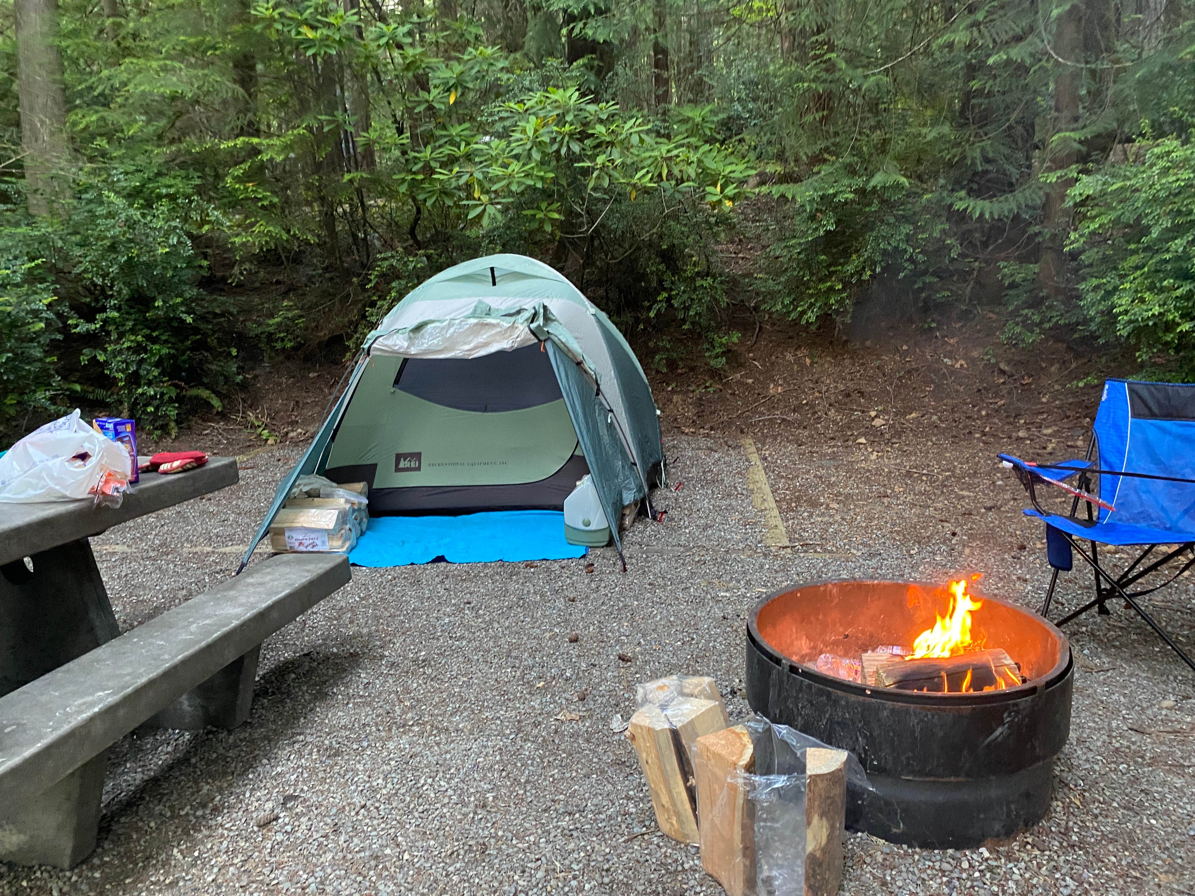 Camper-submitted photo at Seal Rock Campground near Port Ludlow, WA