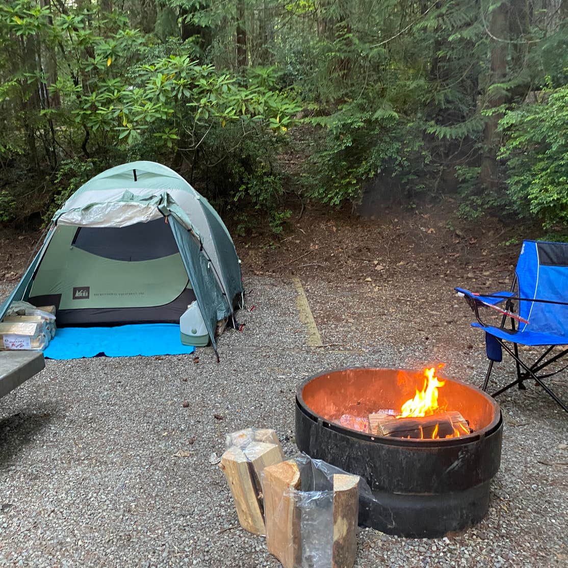 Seal Rock Campground | Brinnon, Washington