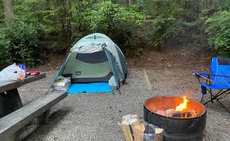 Teri T.'s photo at Seal Rock Campground near Port Ludlow, WA
