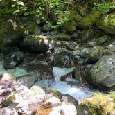 Review photo of Seal Rock Campground by Teri T., June 4, 2024