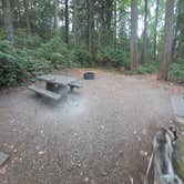 Review photo of Seal Rock Campground by Jordan K., August 23, 2026