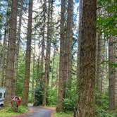 Review photo of Seaquest State Park Campground by Patti C., July 25, 2024