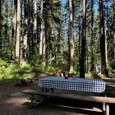 Review photo of Seaquest State Park Campground by T D., July 18, 2024