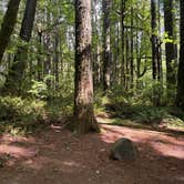 Review photo of Seaquest State Park Campground by Kirk J., June 26, 2026