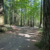 Review photo of Seaquest State Park Campground by Jess W., September 20, 2025
