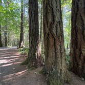Review photo of Seaquest State Park Campground by Jess W., September 20, 2025