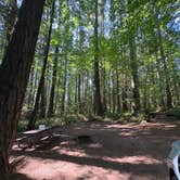 Review photo of Seaquest State Park Campground by Jess W., September 20, 2025