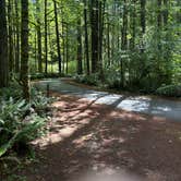 Review photo of Seaquest State Park Campground by Kirk J., June 26, 2026