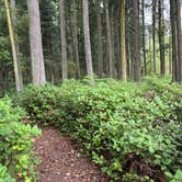 Review photo of Shaw Island County Park by GORDON K., September 6, 2025