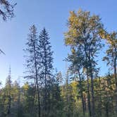 Review photo of Sheep Creek Campground by Boddy P., September 14, 2023