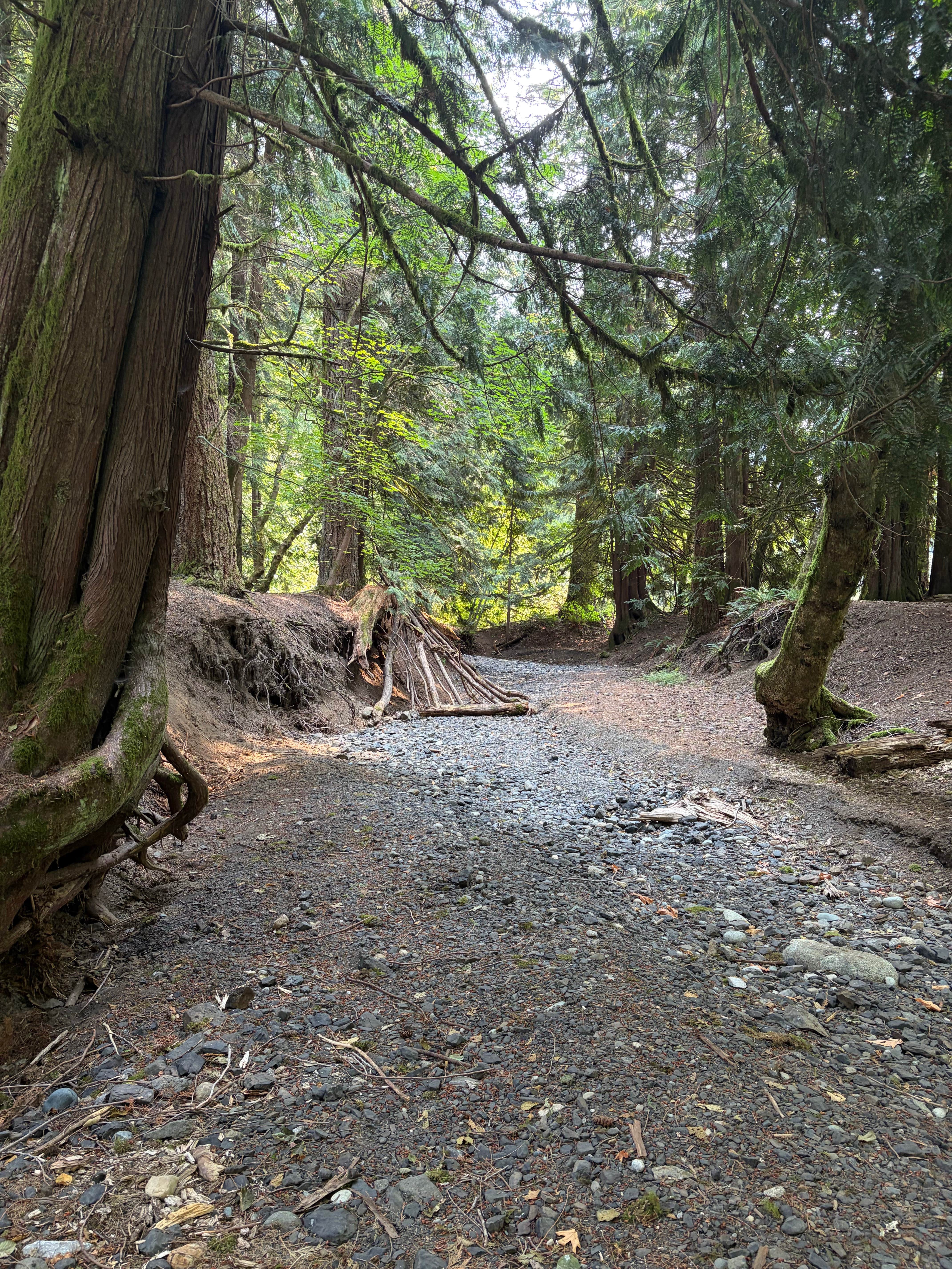 Camper-submitted photo at Silver Lake County Park near Sumas, WA