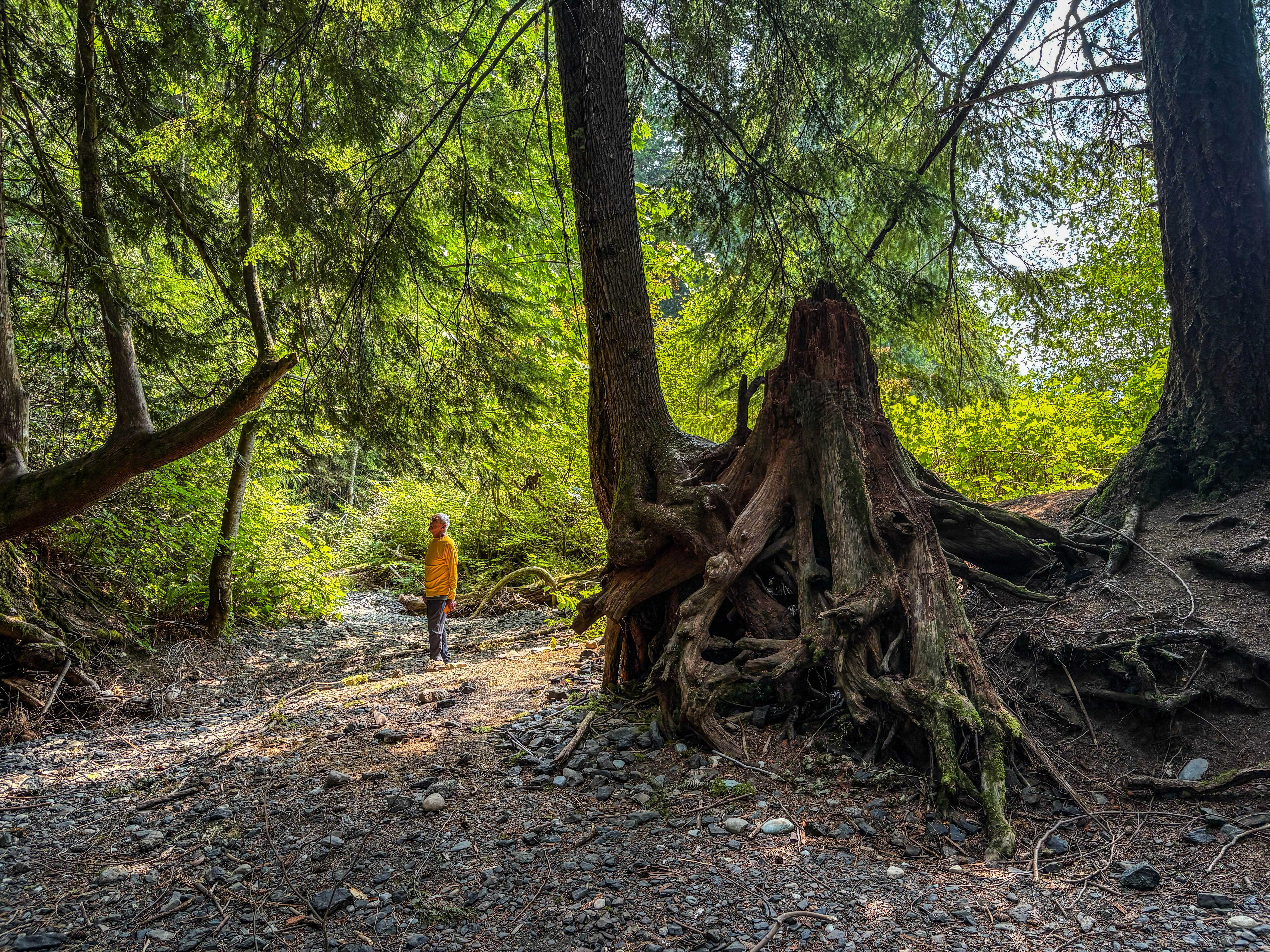 Camping near Hidden Meadow Retreat: Silver Lake County Park, Maple Falls, Washington