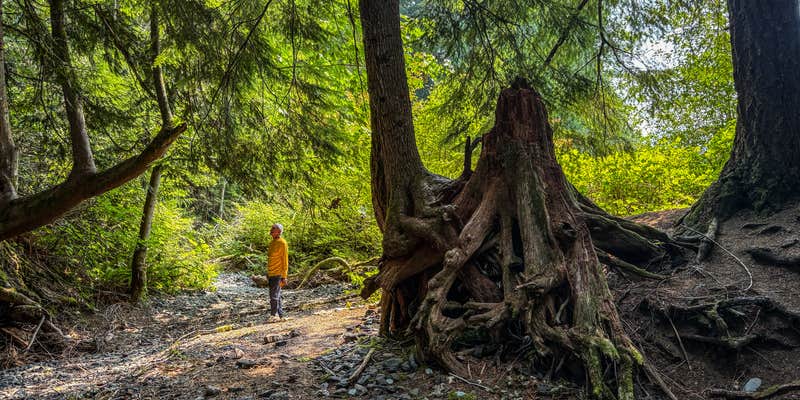 Camper submitted image from Silver Lake County Park